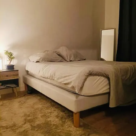 Maison Jardin A Bordeaux Hébergement de vacances *