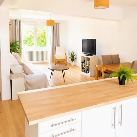 Maison Jardin A Bordeaux Merignac (Gironde)